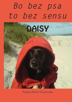 Daisy. Bo bez psa to bez sensu