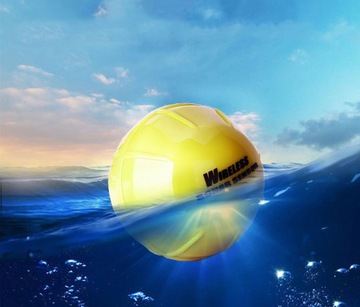 БЕСПРОВОДНОЙ ЭХОЗОНАР SONAR BT100 ПОЛЬСКОЕ МЕНЮ