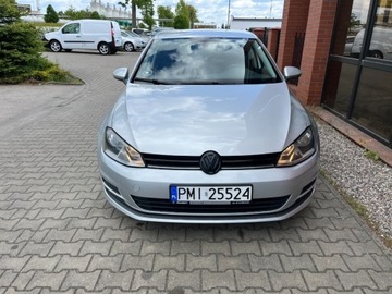 Volkswagen Golf VII Hatchback 3d 1.6 TDI-CR DPF 105KM 2013 Volkswagen Golf 1.6 diesel 105 KM zarej w PL ksiazka serwis zadbany z, zdjęcie 4