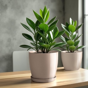 ЦВЕТОЧНЫЙ ГОРШОК С ПОДСТАВКОЙ С ПЛАСТИКОВОЙ КРЫШКОЙ ЦВЕТОЧНЫЙ ВАЗ 16см БЕЖЕВЫЙ ДЛЯ ЦВЕТОВ KADAX