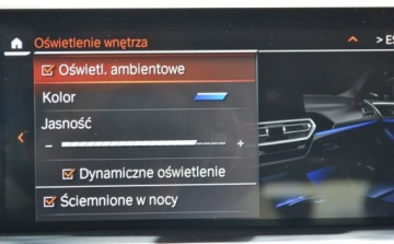 BMW X4 G02 SUV 20d 190KM 2021 BMW X4 BMW X4 xDrive20d Dostawa pod dom w cenie Dealer BMW Bonkowscy, zdjęcie 5