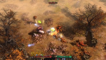 Grim Dawn Definitive Edition PL ПК Steam