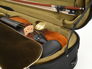 ARTONUS Легкий футляр для скрипки C-SPORT CS-15