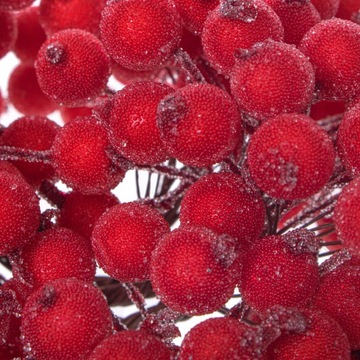 FROST ROWBEE 100 шт. Шарики для декора НАБОР ИСКУССТВЕННЫХ УКРАШЕНИЙ Боярышник.