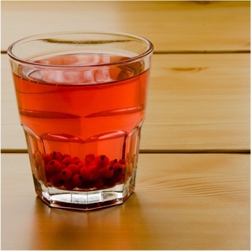 RED CURRENTS Сублимированная смородина красная 25г HiFOOD