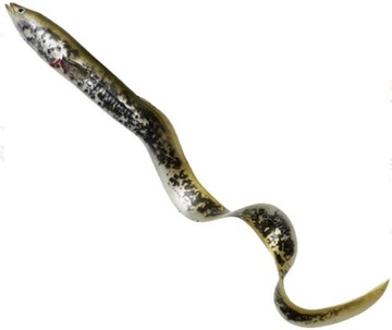 SAVAGE Węgorz 4D REAL EEL 16cm LAMPREY PHP