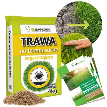 TRAWA NA TERENY SUCHE 4KG WYSOCE ODPORNA NA SUSZĘ NASIONA MOCNA 160M2