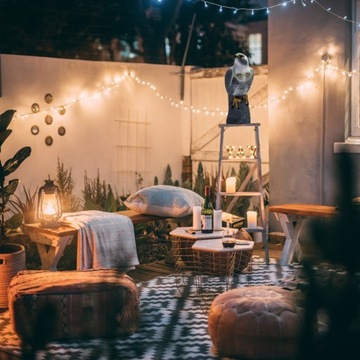 ЯСКОВ-СОКОЛ-ОТПУПЫВАТЕЛЬ ПТИЦ Скворцы ГОЛУБИ