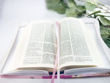 Обложка, футляр для Библии Millennium Bible, Pallottinum 18x12