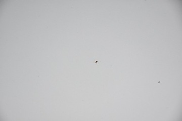 KAPOTA KRYT MOTORU MERCEDES ML W164 C775