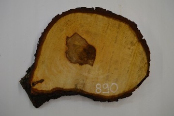 Plaster Kasztana 38x30 cm Drewniane Deski Tacka