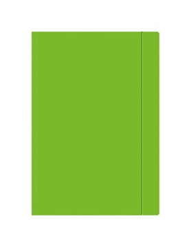 ФАЙЛ ДЛЯ ЧЕРТЕЖА ДЛЯ ЛАСТИКА А4 ЗЕЛЕНЫЙ (13167)