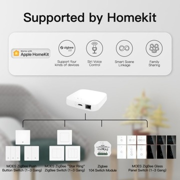 Центральный шлюз MOES Siri HomeKit RJ45 Zigbee 3.0