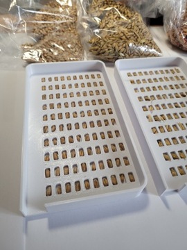 МТЗ Лотки для учета зерна пшеницы, овса, ржи, ячменя
