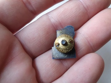 ЗНАК PTTK ПОЛУЧИЛ PTTK ОРИГИНАЛЬНЫЙ PRL