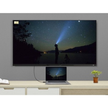 Адаптер DisplayPort HDMI Renkforce RF-4547690