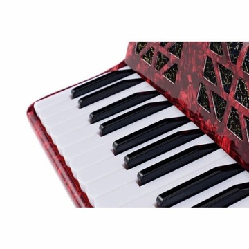 Startone Kids Accordion Red MKII Клавишный аккордеон детский + чехол