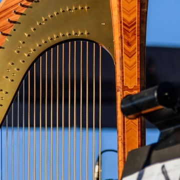 АКСЕССУАРЫ ДЛЯ ЛИНИИ ГИТАРЫ ИНСТРУМЕНТЫ АКСЕССУАРЫ ДЛЯ АРФЫ