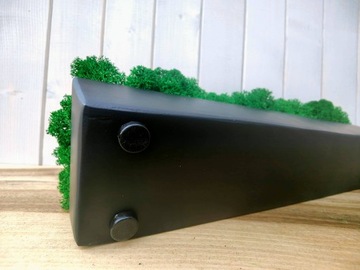 Деревянный цветочный горшок 60 см с КРЕСТОВЫМ МХОМ, длинный, натуральный мох.