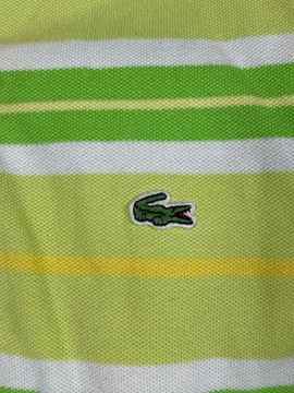 Lacoste Polo Damskie Paski Zielone Logo Unikat Klasyk 38 XS S