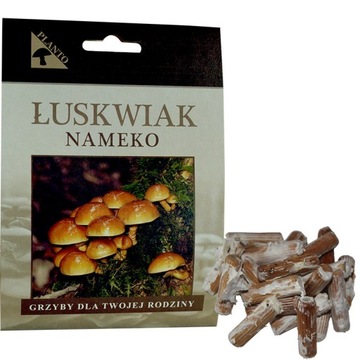 NAMEKO мицелий ВЫРАЩИВАНИЕ В САДУ колышки 20