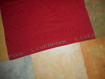 ТЕРМОАКТИВНАЯ СПОРТИВНАЯ КУРТКА FC LIVERPOOL L/XL