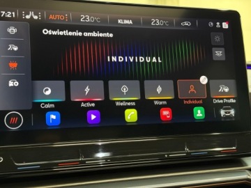 Cupra Formentor Crossover 2.0 TSI 310KM 2023 Cupra Formentor Cupra Formentor VZ 310km, zdjęcie 36