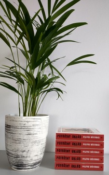 Тройная аранжировка Рышарда Войтовича