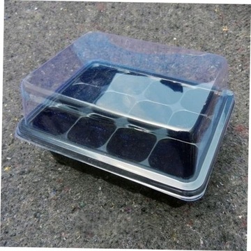 6 шт. подносы для выращивания суккулентов, квадратный сервировочный поднос для выращивания суккулентов