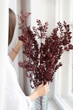 РУСКУС бордовый РУСКУС РУСКУС для засушенной вазы