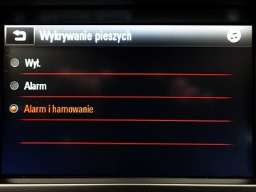 Opel Insignia II Sports Tourer 1.5 Turbo 165KM 2020 Opel Insignia AUTOMAT 1WŁ. KRAJ. BEZWYPADKOWY, zdjęcie 32