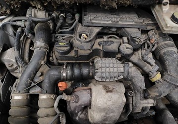 Citroen Berlingo II Combi Facelifting 1.6 HDI 90KM 2014 Citroen Berlingo 2014r, Salonowy, 1.6 HDI. Lekko uszkodzony tyl. Jezdzi. V, zdjęcie 19