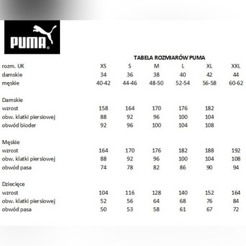 Koszulka z krótkim rękawem Puma v3.08 700463 r S