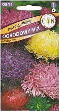 Aster Igiełkowy mix odmian kolorów, okazałe kwiaty