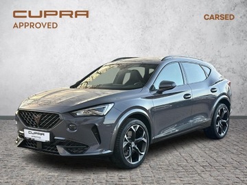 Cupra Formentor Crossover 2.0 TSI 310KM 2023 Cupra Formentor 2.0 TSI 310KM 4Drive Audio System