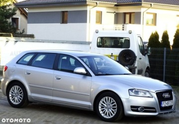 Audi A3 8P Hatchback 3d 1.9 TDI 105KM 2009 Audi A3 Sportback Audi A3 Sportback 1.9 Diesel 105KM, zdjęcie 7