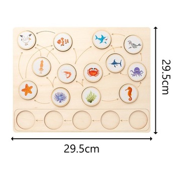 Wooden Montessori Toys Life Cycle Tray Education School Project Sqaure