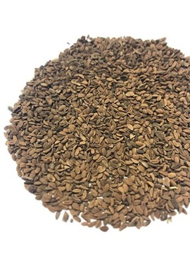 FACELIA błękitna 15kg