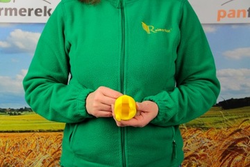 ДЕРЖАТЕЛЬ ДЛЯ ПРИКРЕПЛЕНИЯ ИЗОЛЯТОРОВ К СТОЙКАМ PASTUCHA ИЗОЛЯТОР PASTUCA