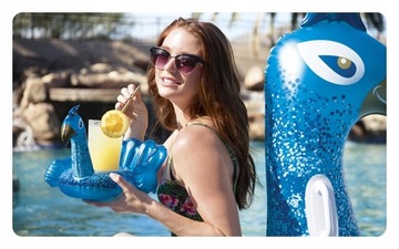BESTWAY 34127 Плавающая подставка для напитков PAW