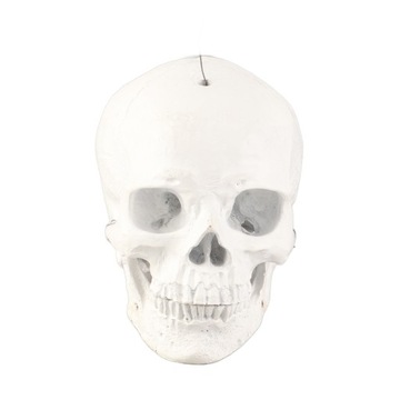 WIATRAK ODSTRASZACZ PTAK OGRODOWY STYL CZASZKI