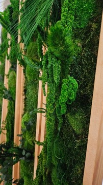 Панно из живого мха, джунгли, 3D стена из мха, нестандартный размер, выбор рамы 130 x 20 см.
