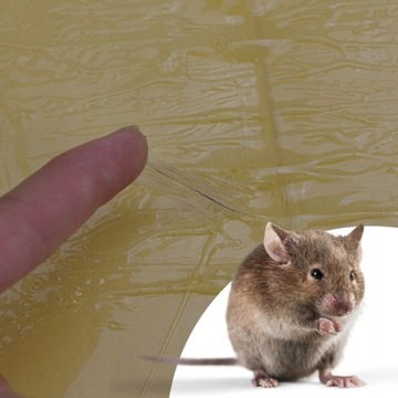 10x MUZETRAP LEP ЛОВУШКА ДЛЯ МЫШЕЛОВКИ ДЛЯ КРЫС ЭКО ДЛЯ ГРЫЗУНОВ ДЛЯ ДОМА