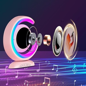 НАБОР ДЛЯ КАРАОКЕ С LED BLUETOOTH, БЕСПРОВОДНОЙ, 2 МИКРОФОНА + ДИНАМИК ДЛЯ ДЕТЕЙ