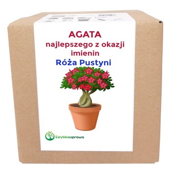 Ekologiczny prezent zestaw róża pus imieniny AGATA