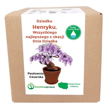 Zestaw BONSAI paulownia Dzień Dziadka Henryk