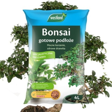 ZIEMIA Podłoże do Drzewka BONSAI Ficus SERAMIS 4L
