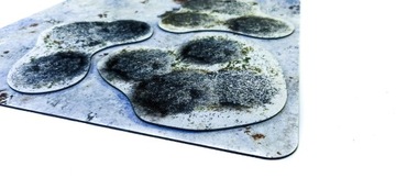 2D УНИВЕРСАЛЬНЫЕ ПЛОЩАДКИ - ЗИМНИЙ ЛЕС