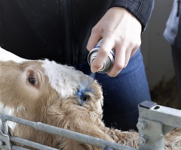 Синий спрей, 200 мл, производитель Agro Chemica