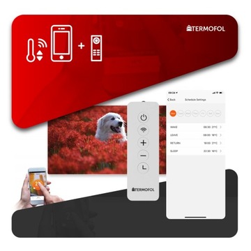 Инфракрасный ОБОГРЕВАТЕЛЬ image 700Вт 120х60см WiFi